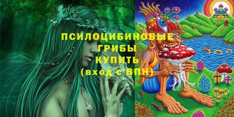 Галлюциногенные грибы MAGIC MUSHROOMS  цены   Ржев 